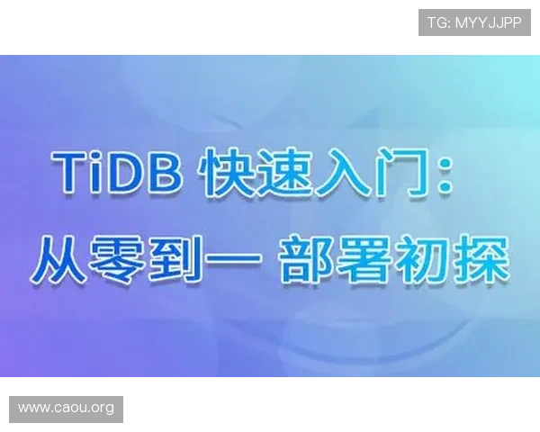 欧博777最新版本下载指南及安装步骤详细介绍让你快速上手