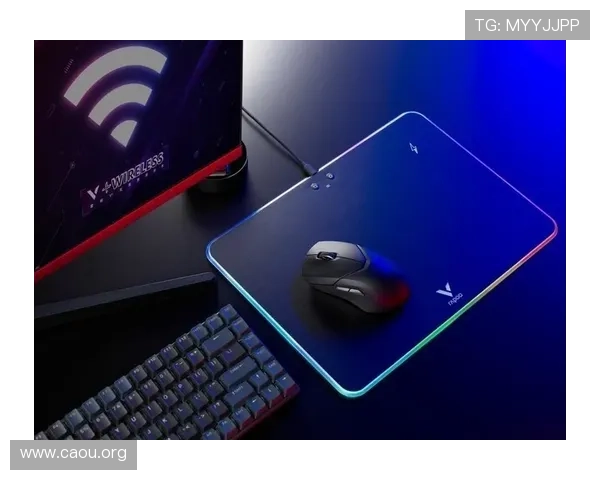 欧博游戏平台怎么样深入了解其技术支持与平台稳定性的重要性