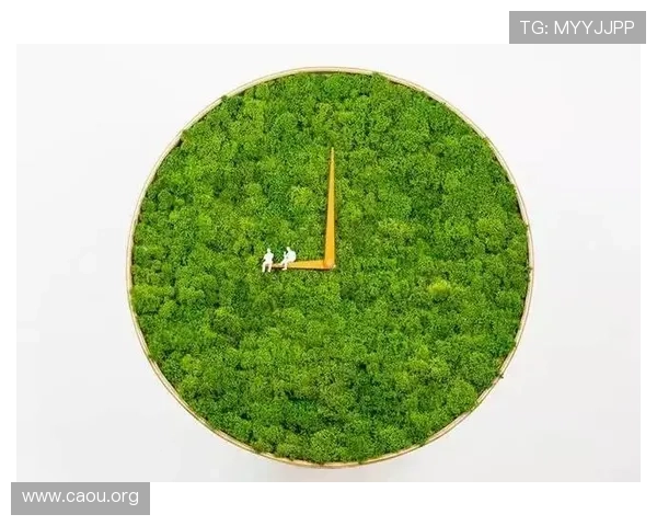 欧博集团在可持续发展方面的实践探索与绿色转型路径