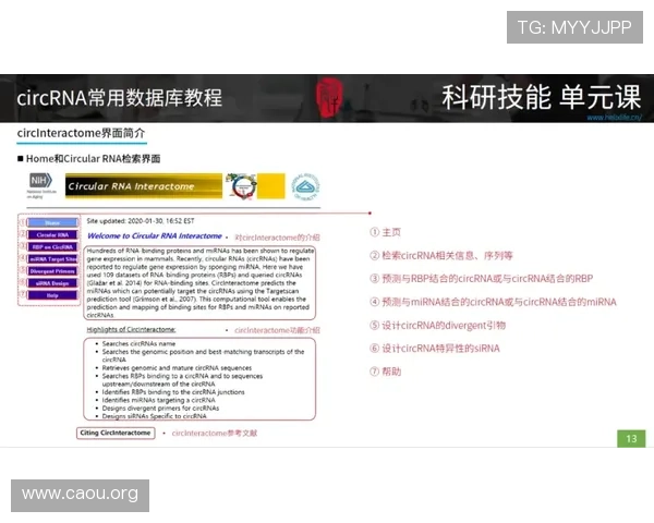 aabbgg99net欧博新手注册流程详细指南快速顺利完成注册